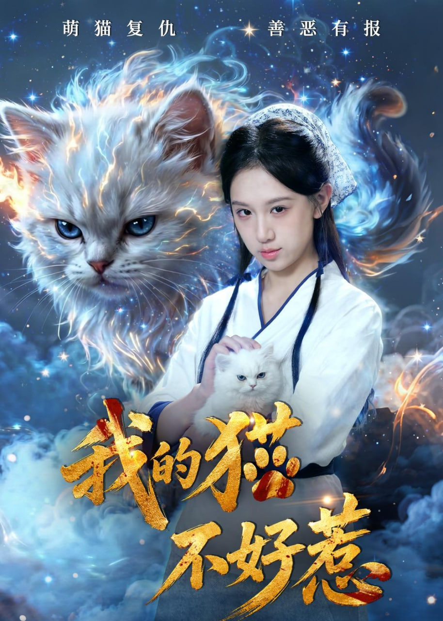 你想活出怎样的人生
